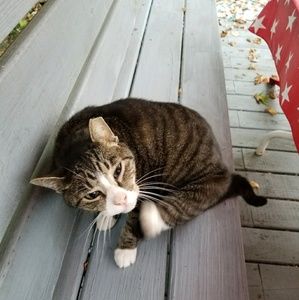 Meet your Posher, Matthew